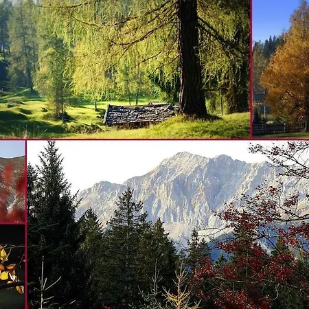 Erika * 蒂罗尔-泽费尔德